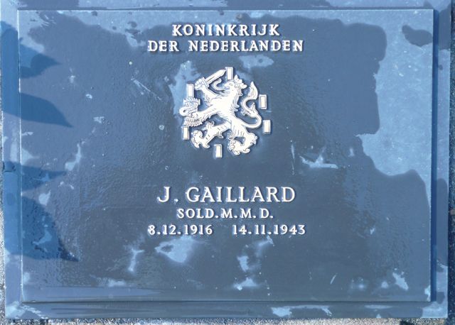 Gaillard.J.2008.jpg