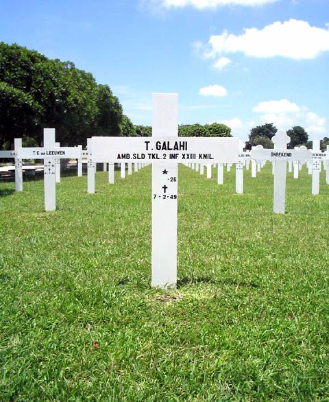 galahi.t.2005.jpg