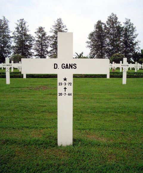 gans d.jpg