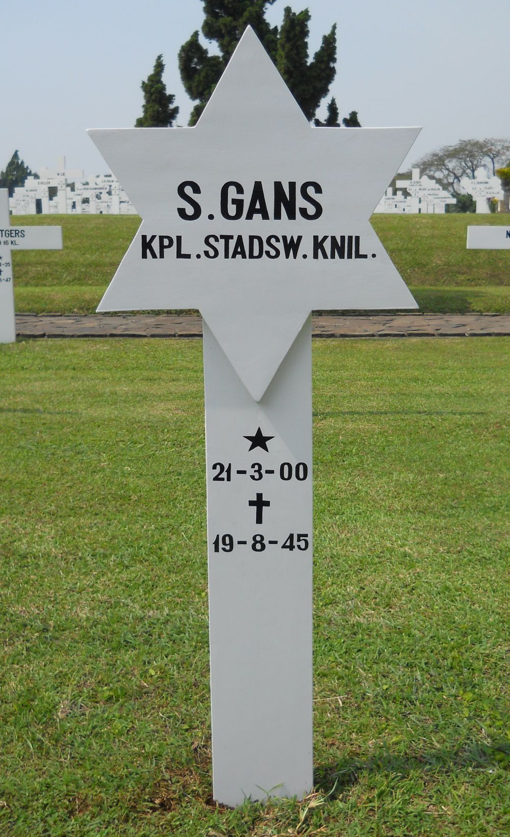 gans.s..jpg