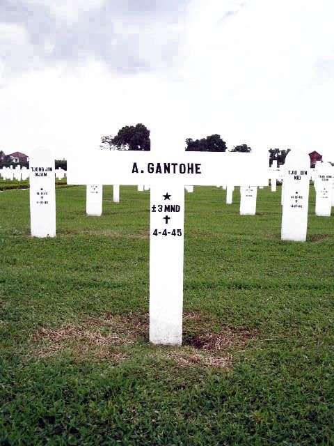 gantohe.a.2005.jpg