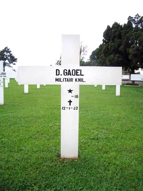 gaoel.d.2005.jpg