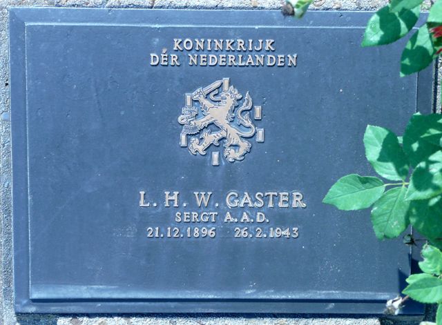 Gaster.L.H.W.2008.jpg