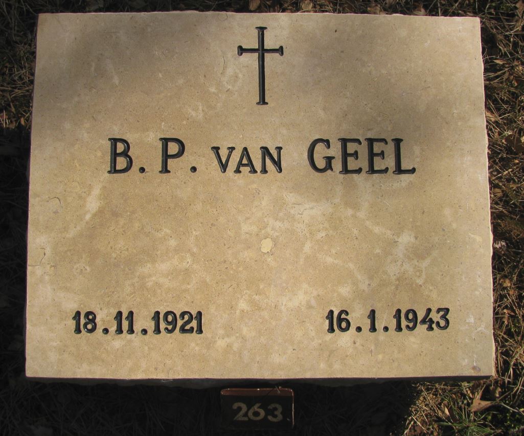 vanGeel.JPG