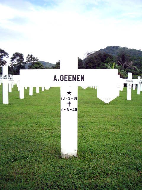 geenen.a.2005.jpg