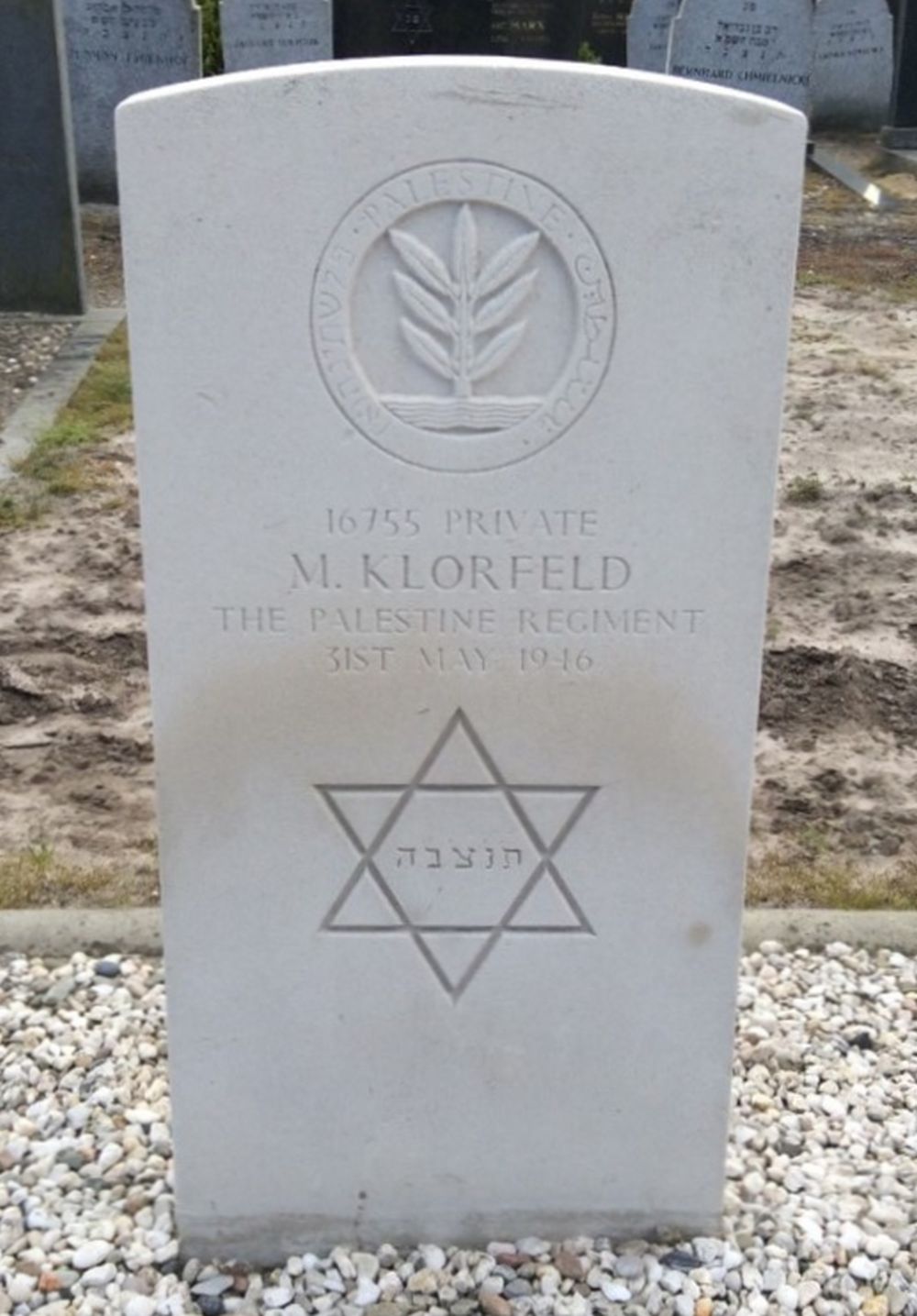 Graffoto M. Klorfeld.jpg