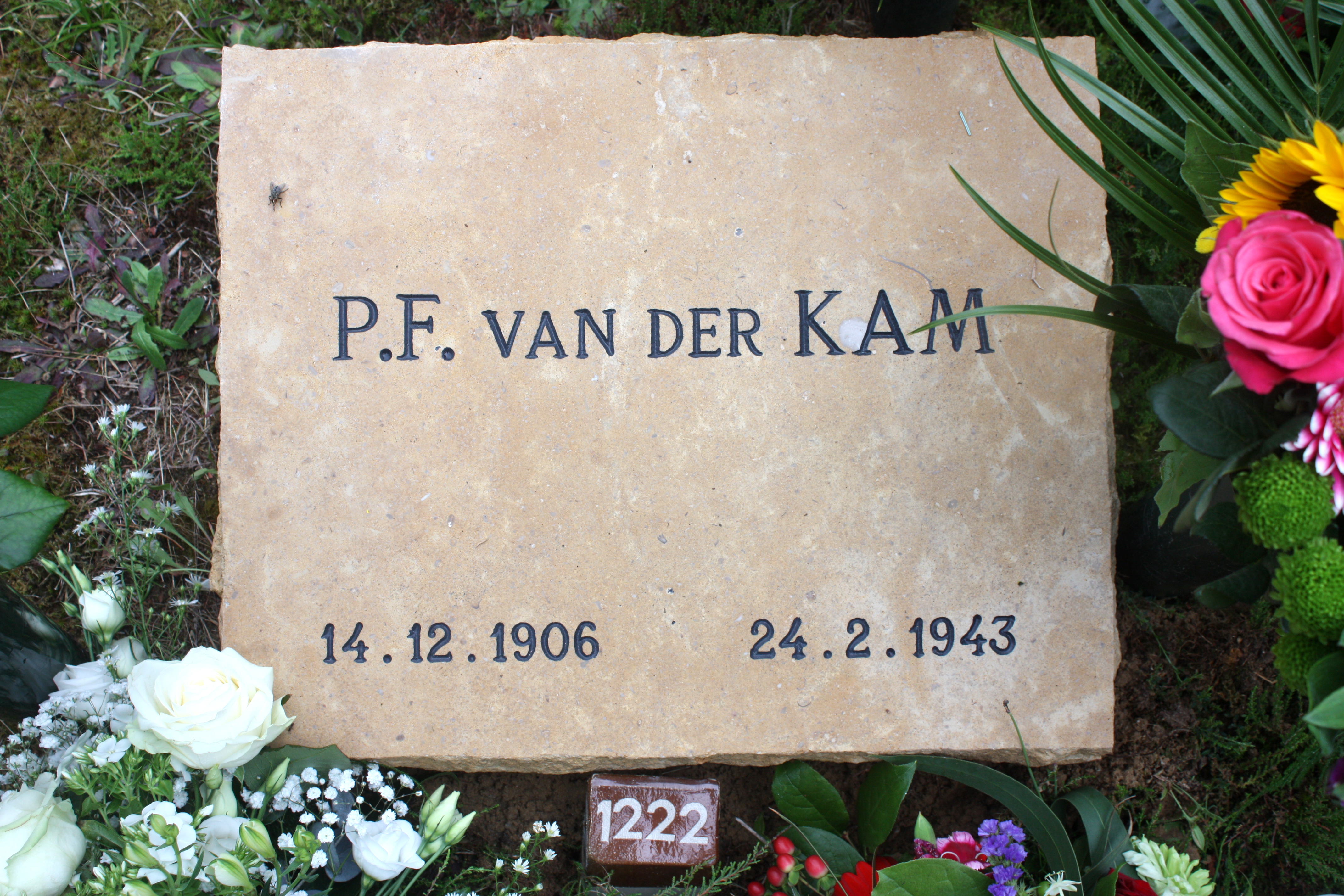IMG_0096 kopiëren.jpg