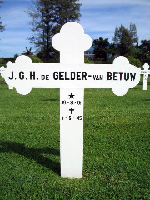 gelder de betuw van.j.g.h.2004.jpg