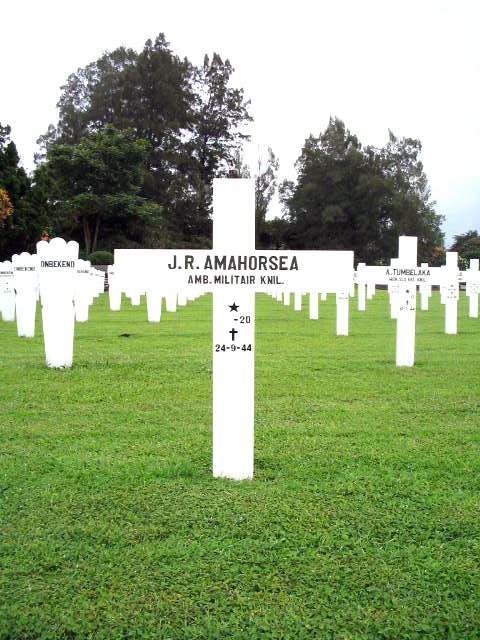 amahorsea.j.r.2005.jpg
