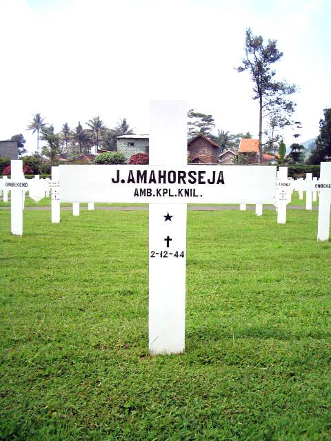 amahorseja.j.2005.jpg