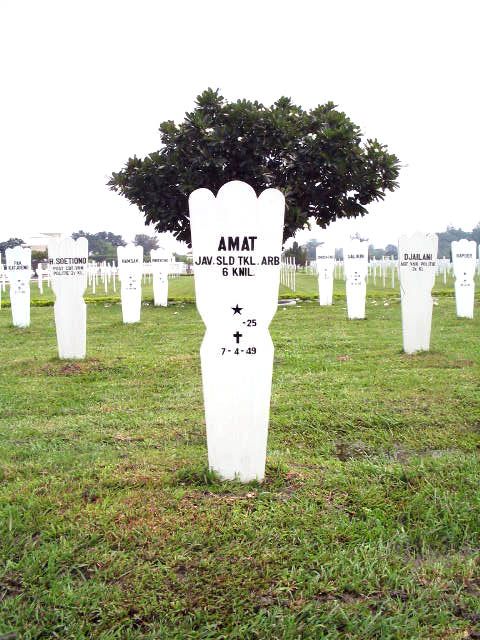 amat.2005.jpg