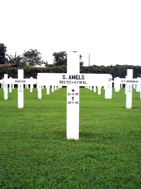 amels.s.2005.jpg