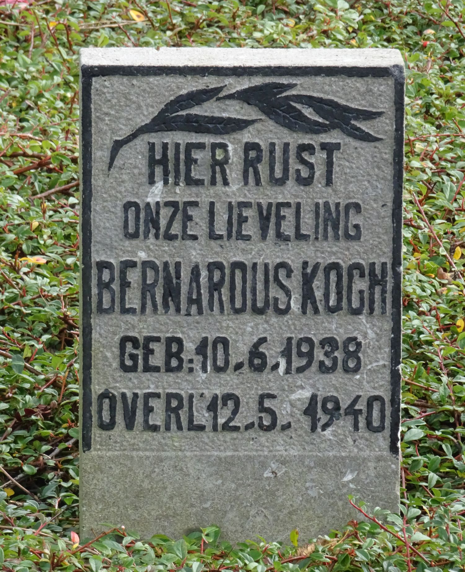 Graffoto B. Koch, foto Pieter Mielen.jpg