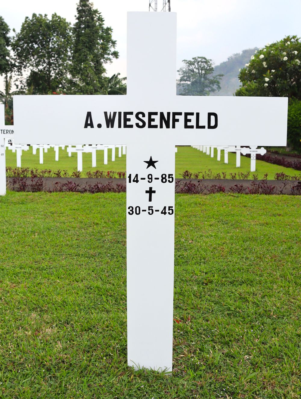 Graffoto A. Wiesenfeld.jpg