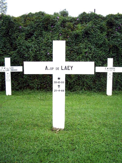 laey.op.de.a.2005.jpg
