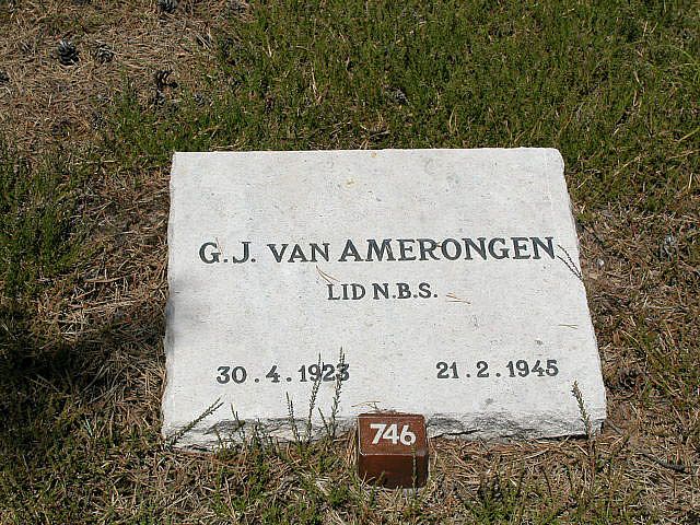 G.J.van Amerongen.jpg