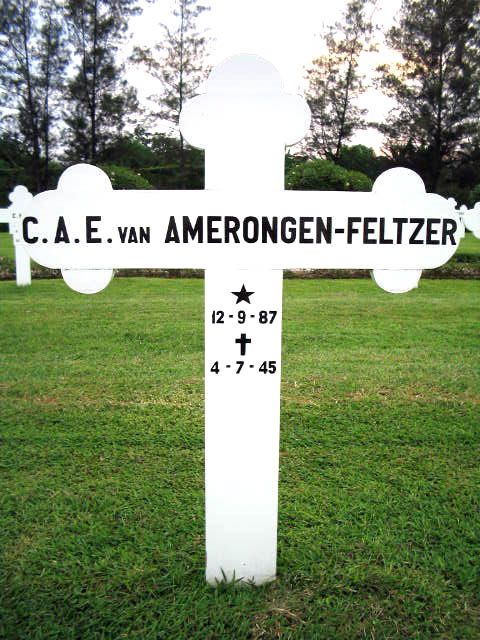 amerongen van.feltzer.c.a.e.2004.jpg