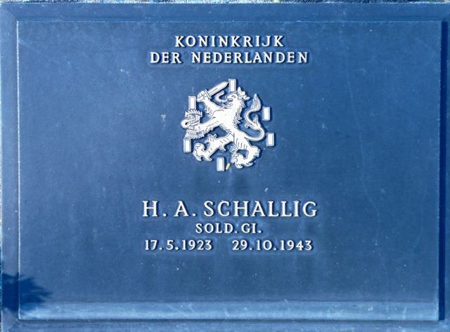 Schallig.H.A.2008.jpg