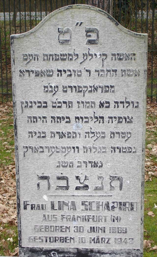 Schapiro-Hess.K. 2008.jpg