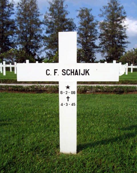 schaik c.f.2004.jpg
