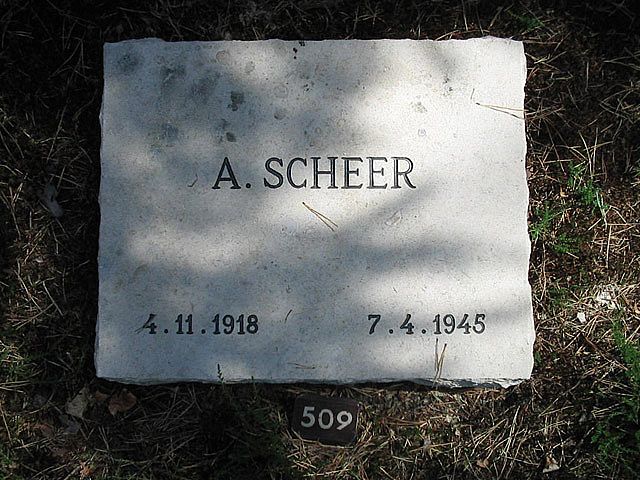 A.Scheer.jpg