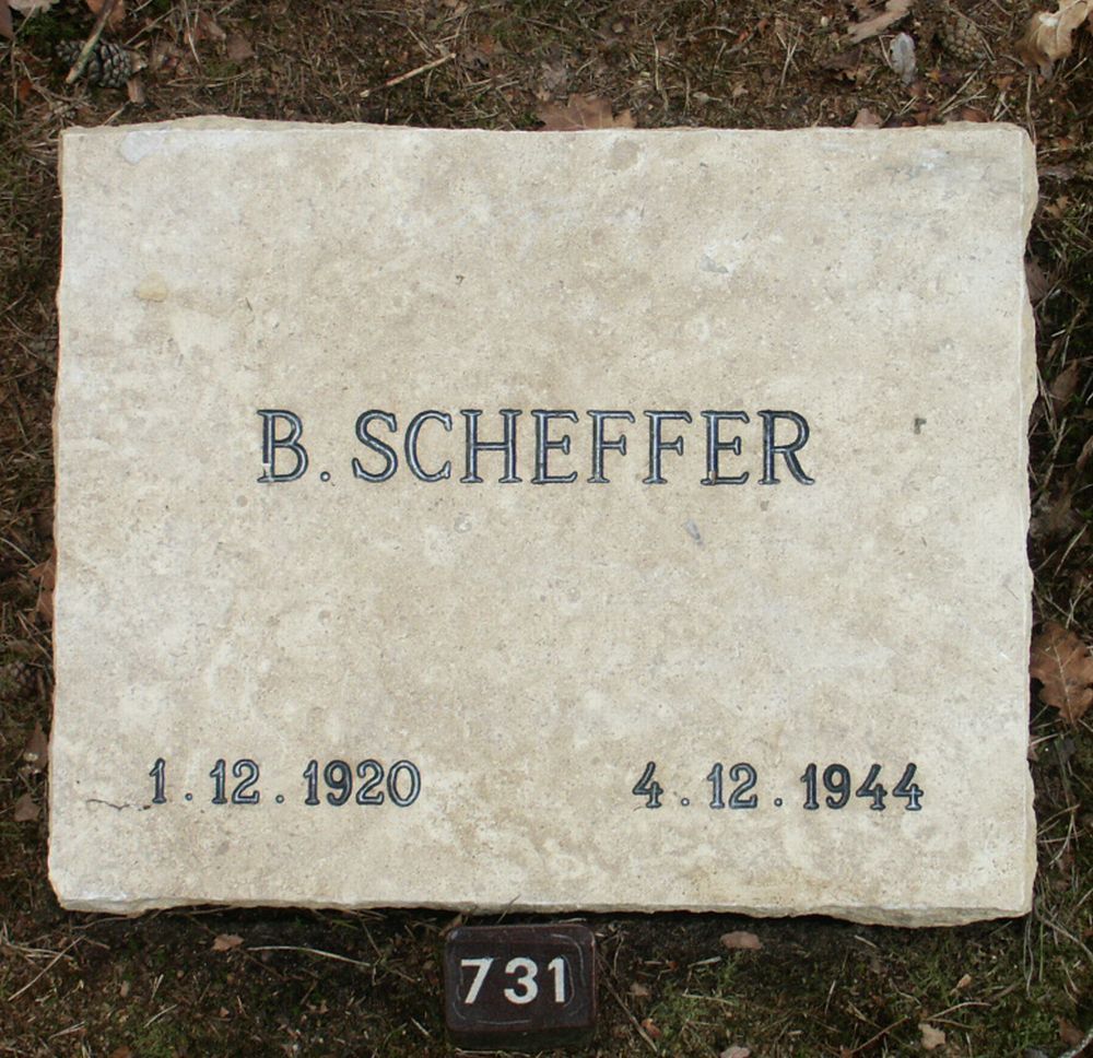 scheffer.b.2006.jpg
