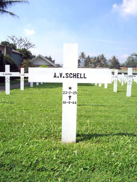 schell.a.v.2005.jpg