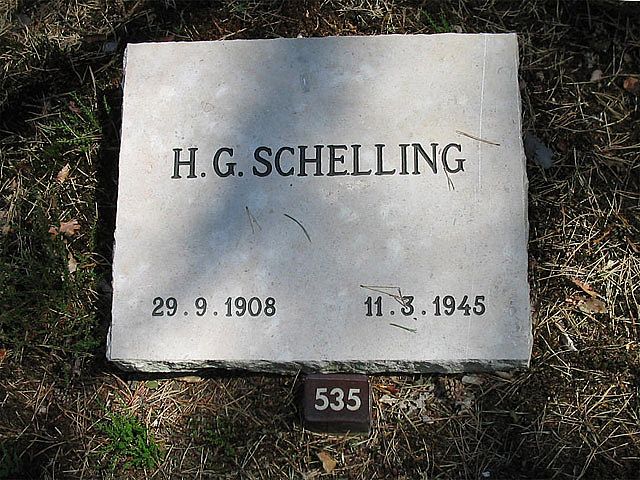 H.G.Schelling.jpg