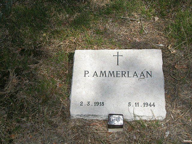 P.Ammerlaan.jpg