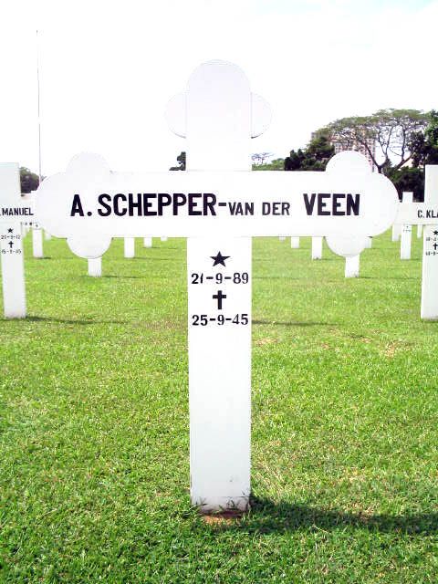 schepper.veen.v.der.a.2005.jpg