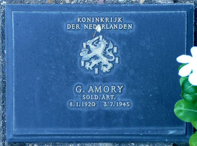 Amory.G.2008.jpg