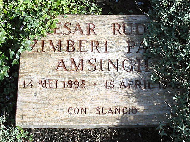 amsingh.c.r.z.p.2004.jpg