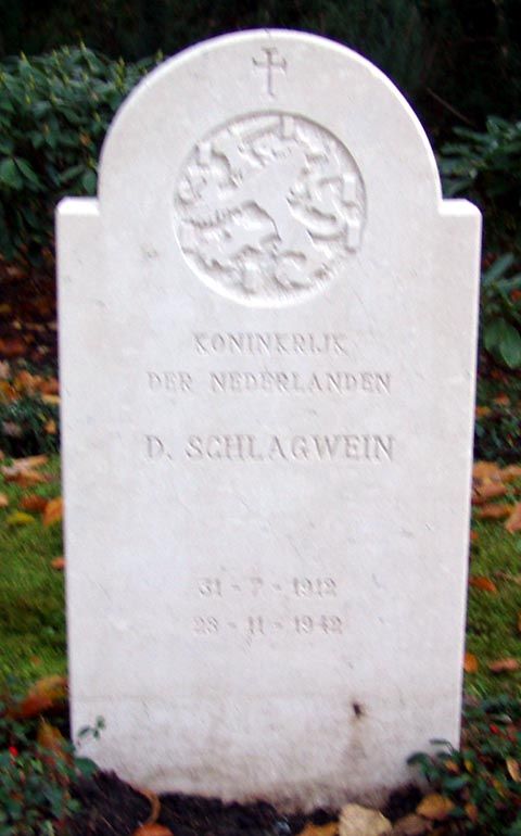 Schlagwein D.jpg