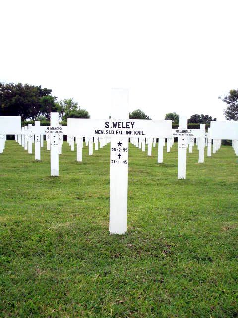 wely.s.2005.jpg