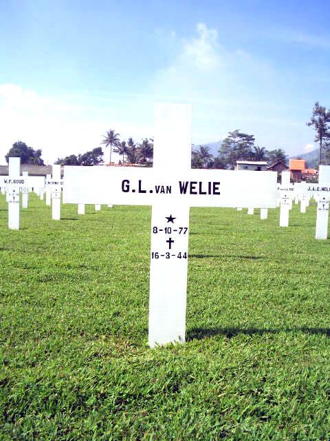 welie.van.g.l.2005.jpg