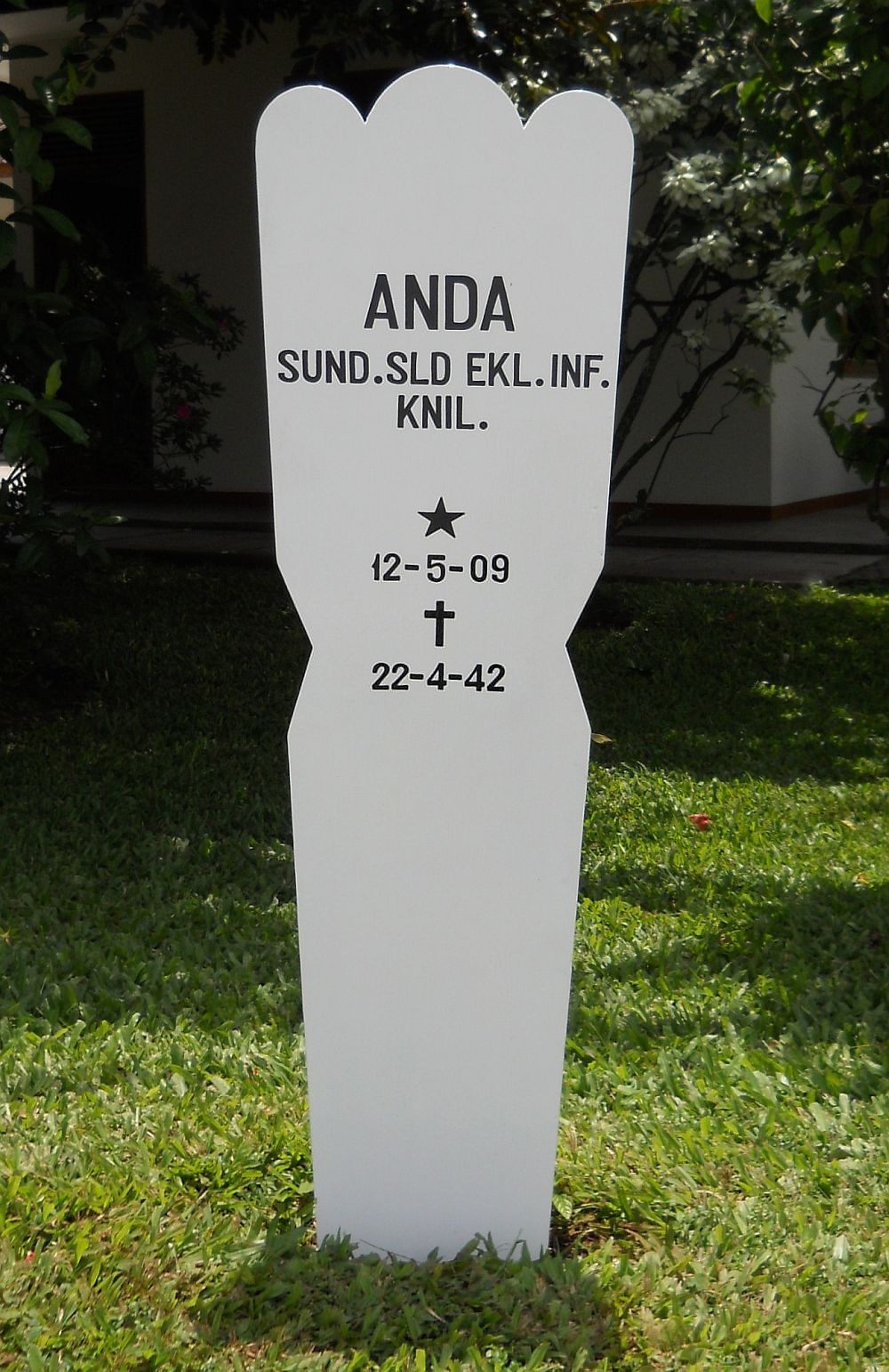 anda.1909.jpg