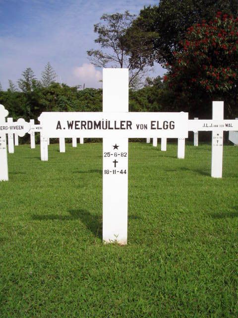 werdmuller von elgg.a.2005.jpg