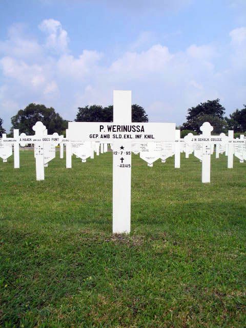 werinussa.p.2005.jpg