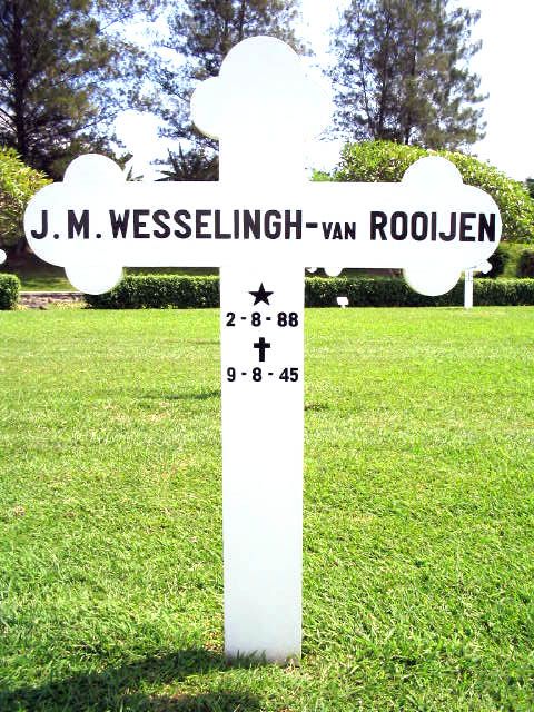 wesselingh rooijen van.j.m.2004.jpg