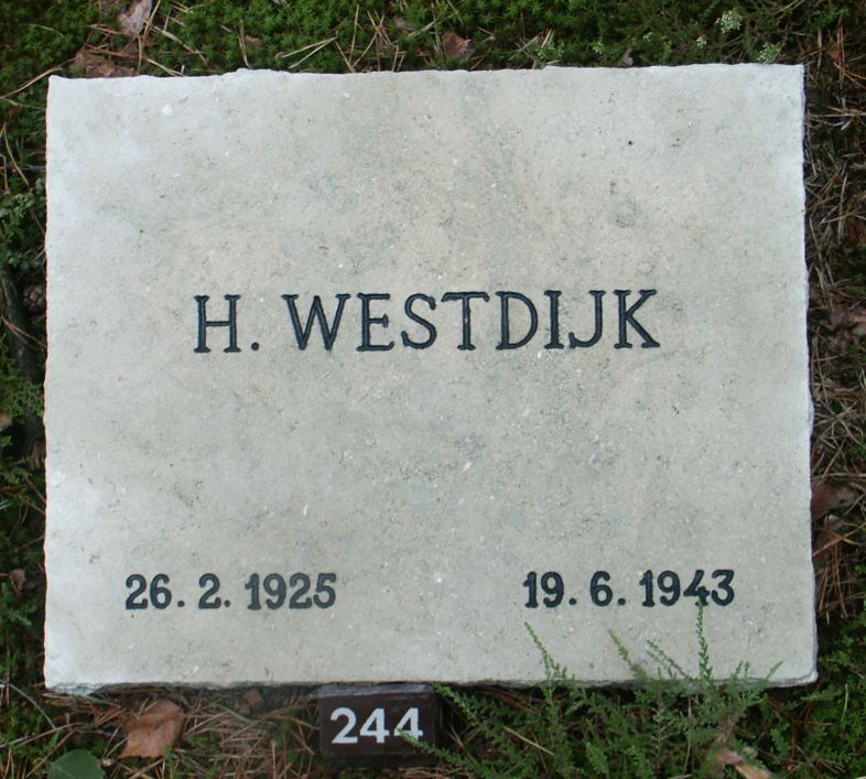 westdijk.h.jpg