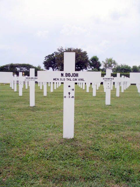 bojoh.n.2005.jpg