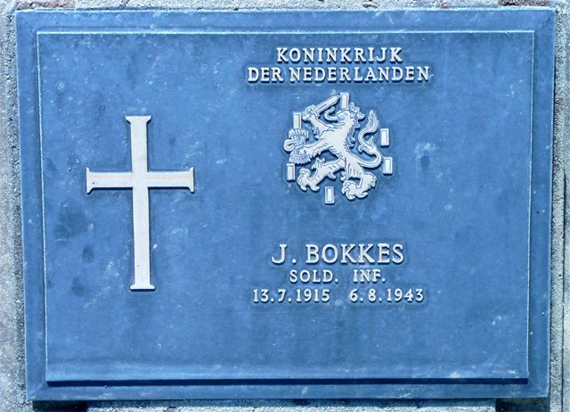 Bokkes.J.2008.jpg