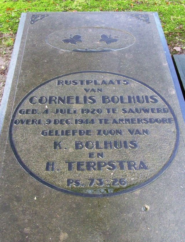 bolhuis.c.2008.jpg