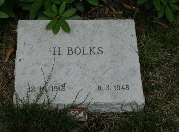 H.Bolks.jpg