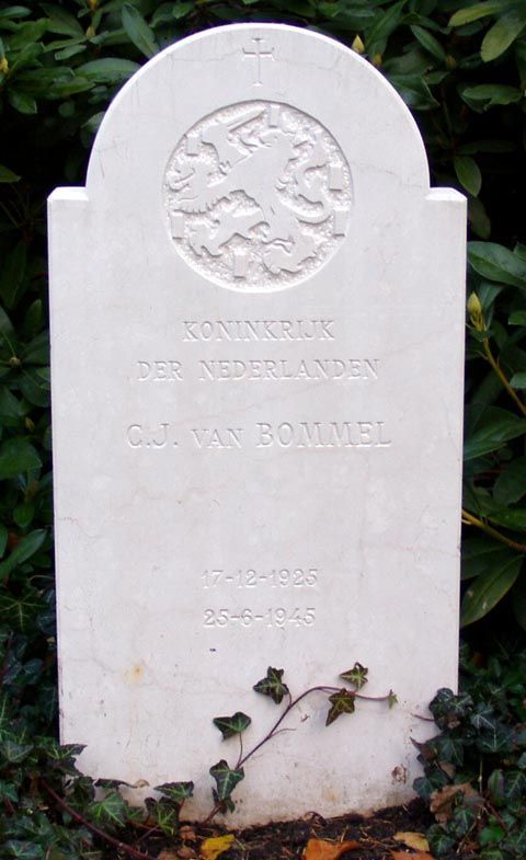 Bommel v C.J.jpg
