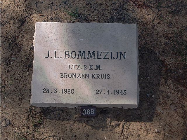 bommezijn.JPG