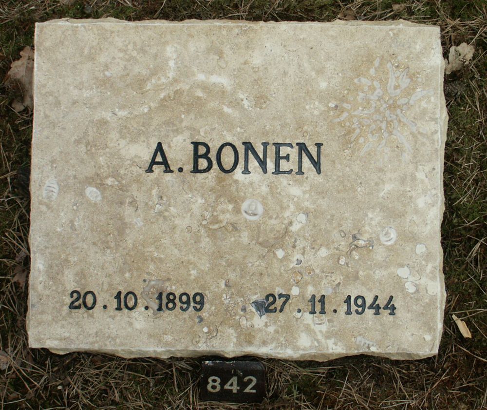 bonen.a.2006.jpg
