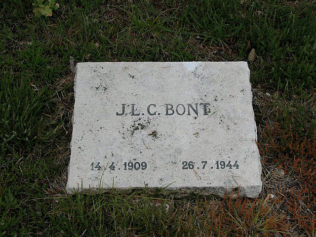 J.L.C.Bont.jpg
