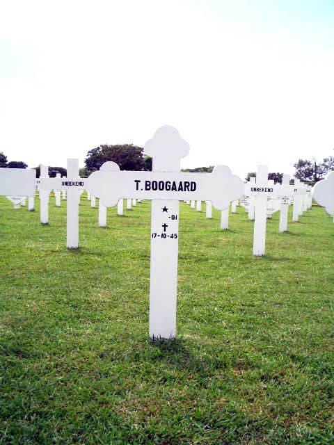 boogaard.t.2005.jpg