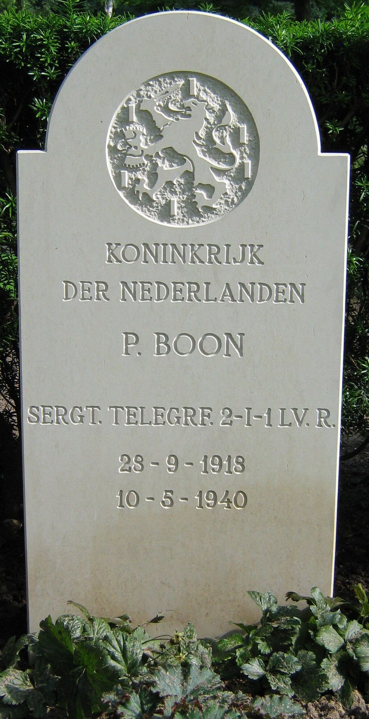 boon.p.2008.jpg